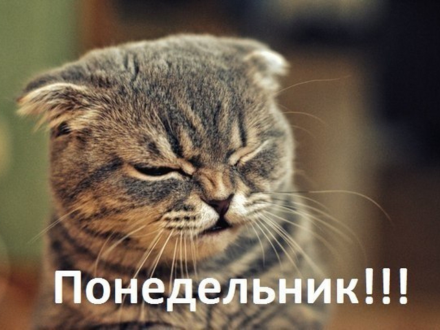 3676705_ (640x480, 200Kb)