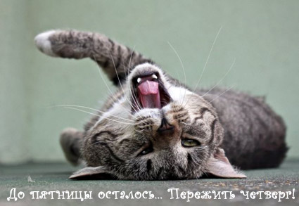 ��������/3676705_1332411186_9191450 (425x293, 29Kb)