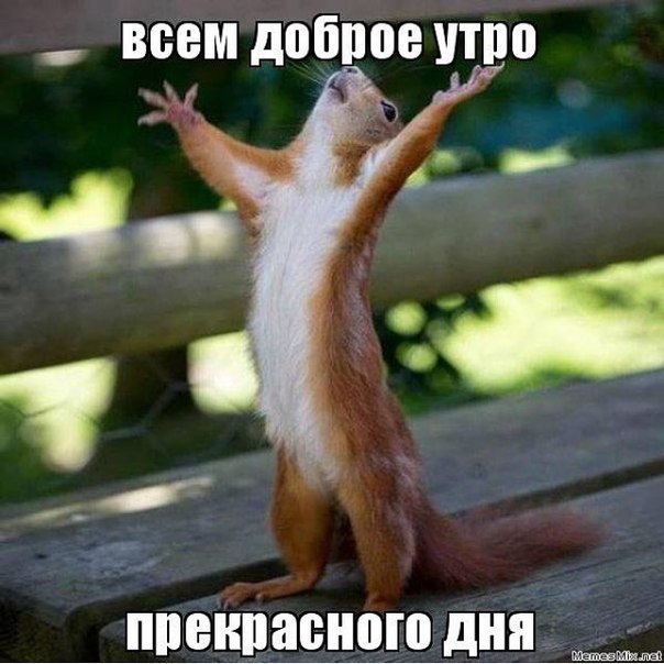 3676705_hEmFZCPHC1s (604x604, 67Kb)