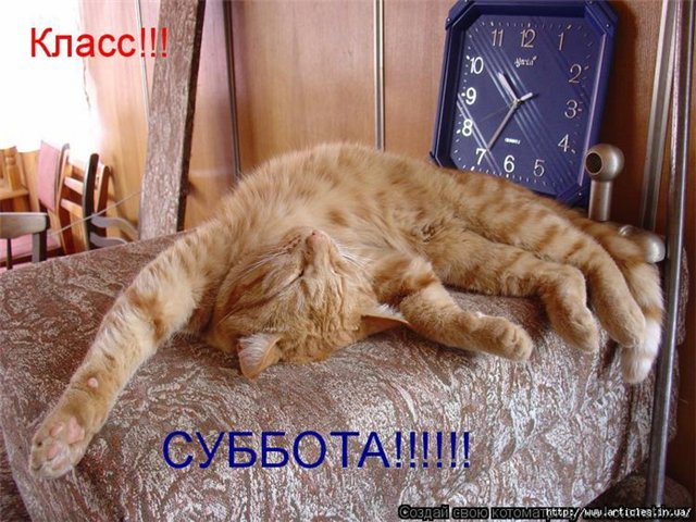 3676705_d42ca7fc642f (640x480, 86Kb)