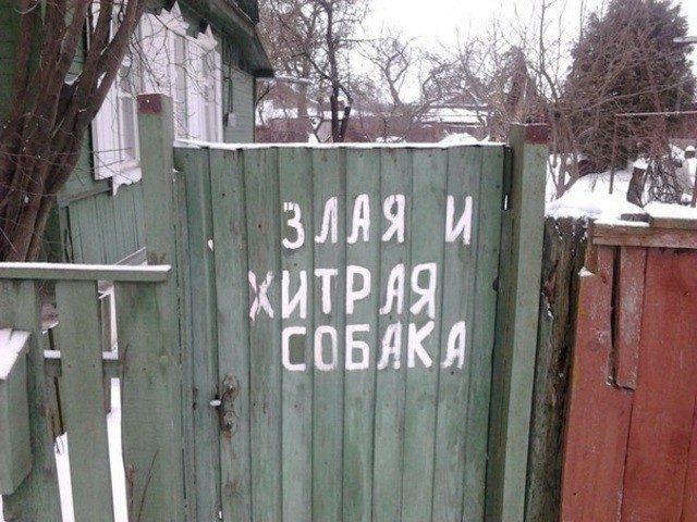 1918486_original_2 (640x480, 77Kb)