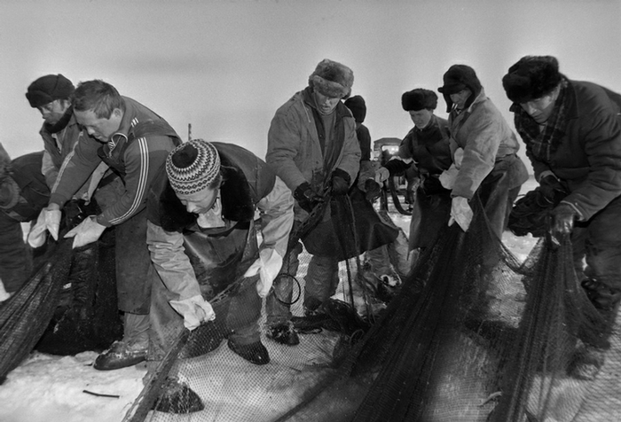seinefishing001-4 (700x476, 203Kb)