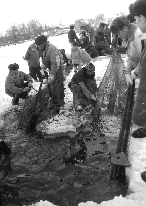 seinefishing001-15 (499x700, 213Kb)